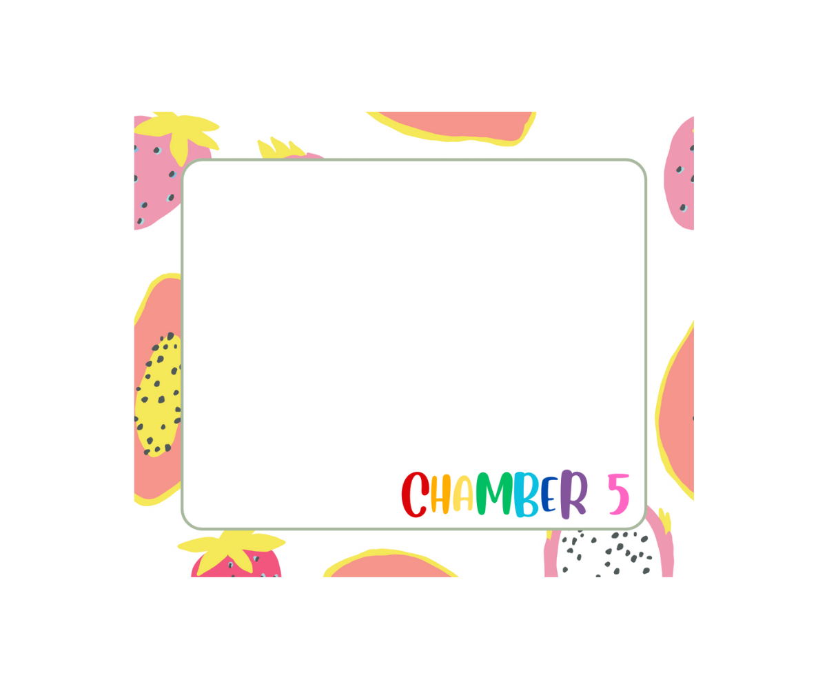 Chamber 5 Memo