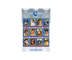 Heated Rivalry Sticker Sheet